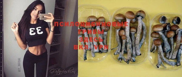 хмурый Яранск