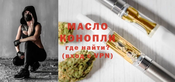 индика Осташков