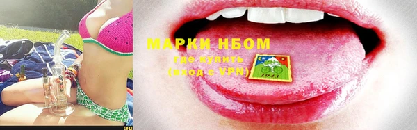 индика Осташков
