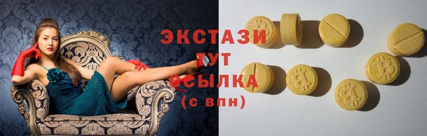 индика Осташков