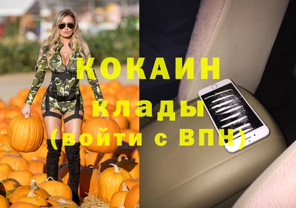 индика Осташков