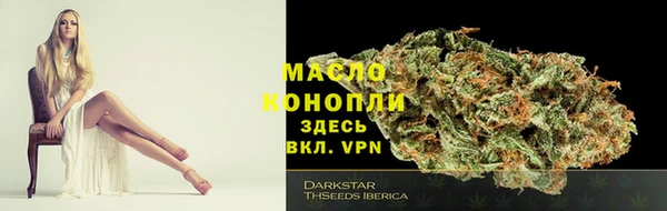 МДПВ Протвино