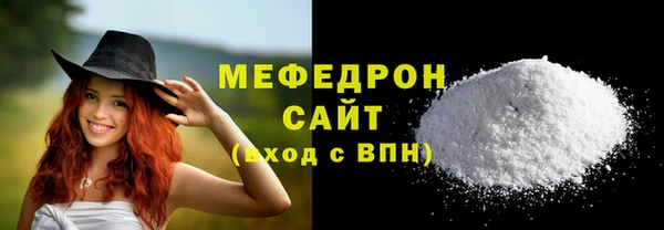 индика Осташков