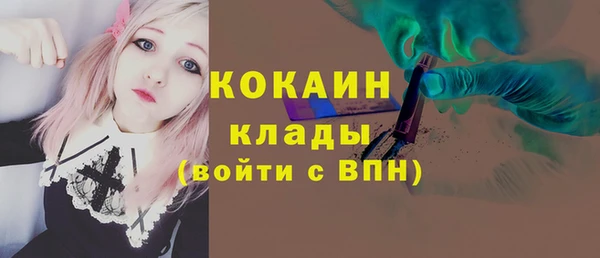 индика Осташков