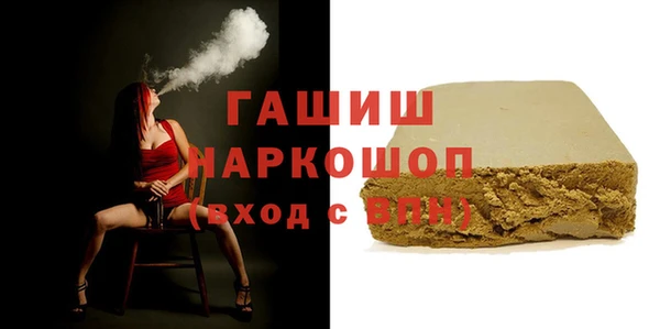 индика Осташков