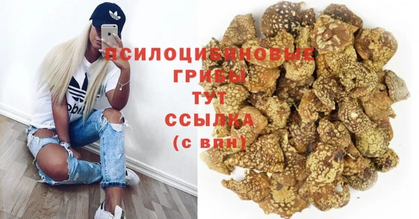 гидропоника Яровое