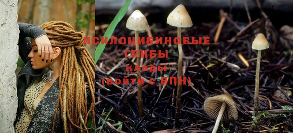 гидропоника Яровое