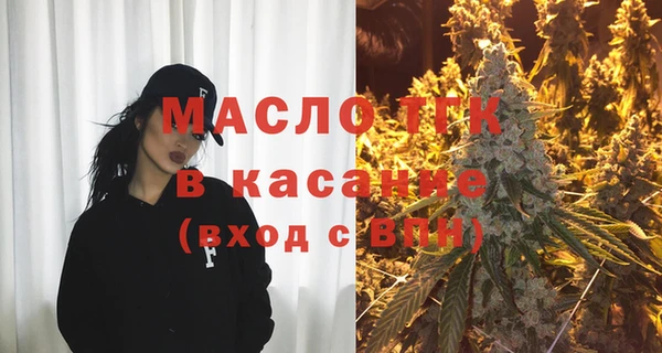 индика Осташков