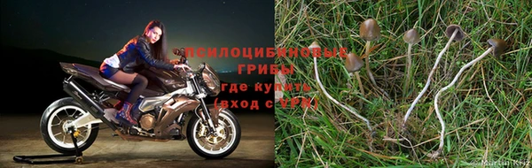 хмурый Яранск
