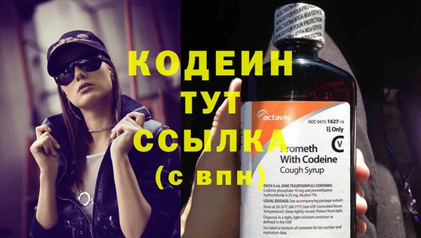индика Осташков