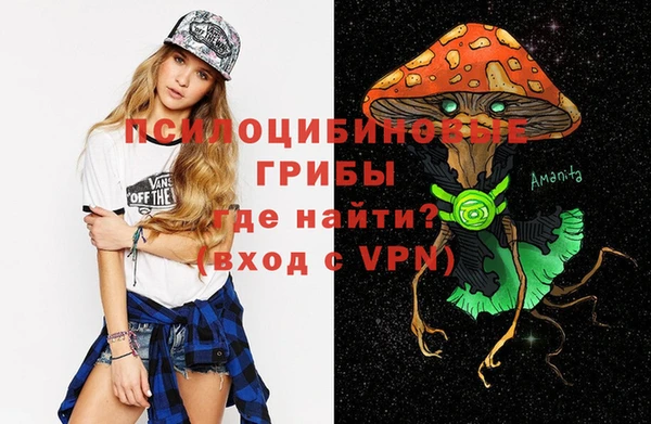 индика Осташков