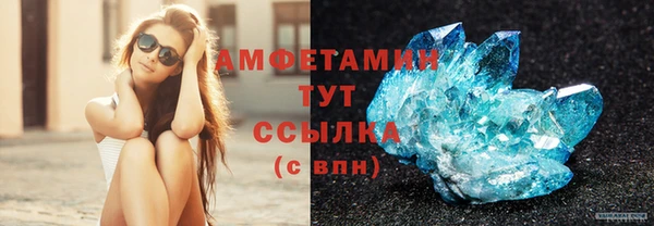 индика Осташков