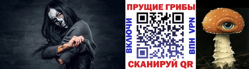 купить   Волоколамск  Псилоцибиновые грибы прущие грибы 