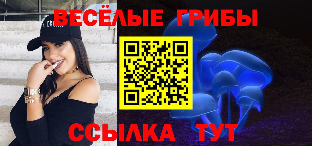 Псилоцибиновые грибы мицелий Волоколамск