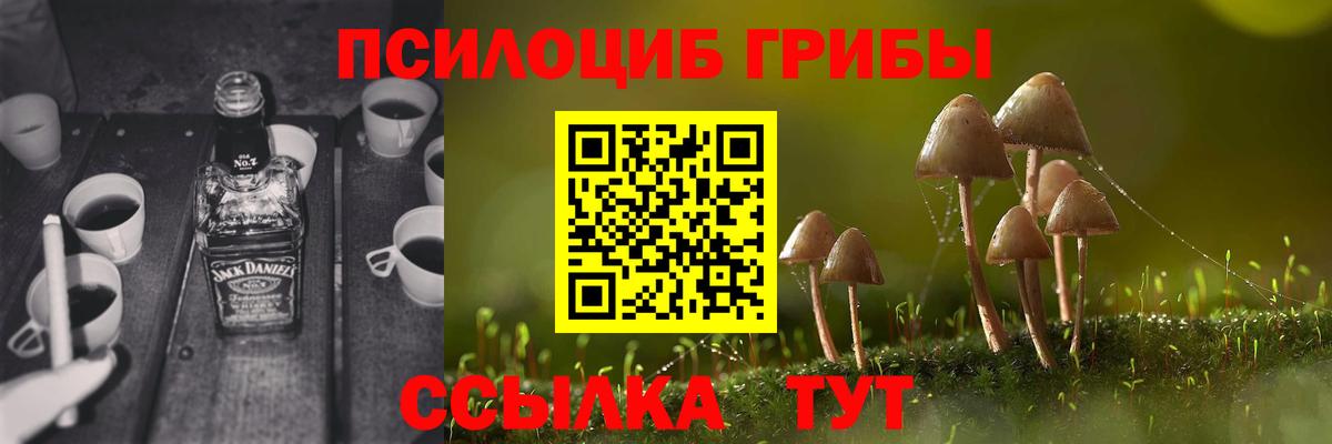 хочу   Вход с VPN  Волоколамск  Галлюциногенные грибы Cubensis 