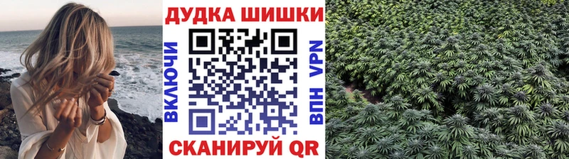 Канабис гибрид  Волоколамск 