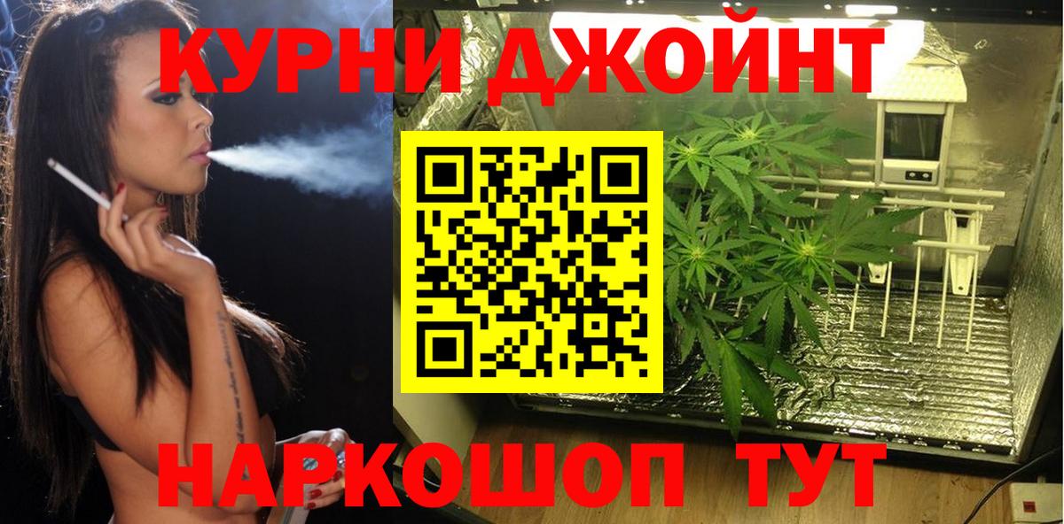 Шишки марихуана SATIVA & INDICA Волоколамск
